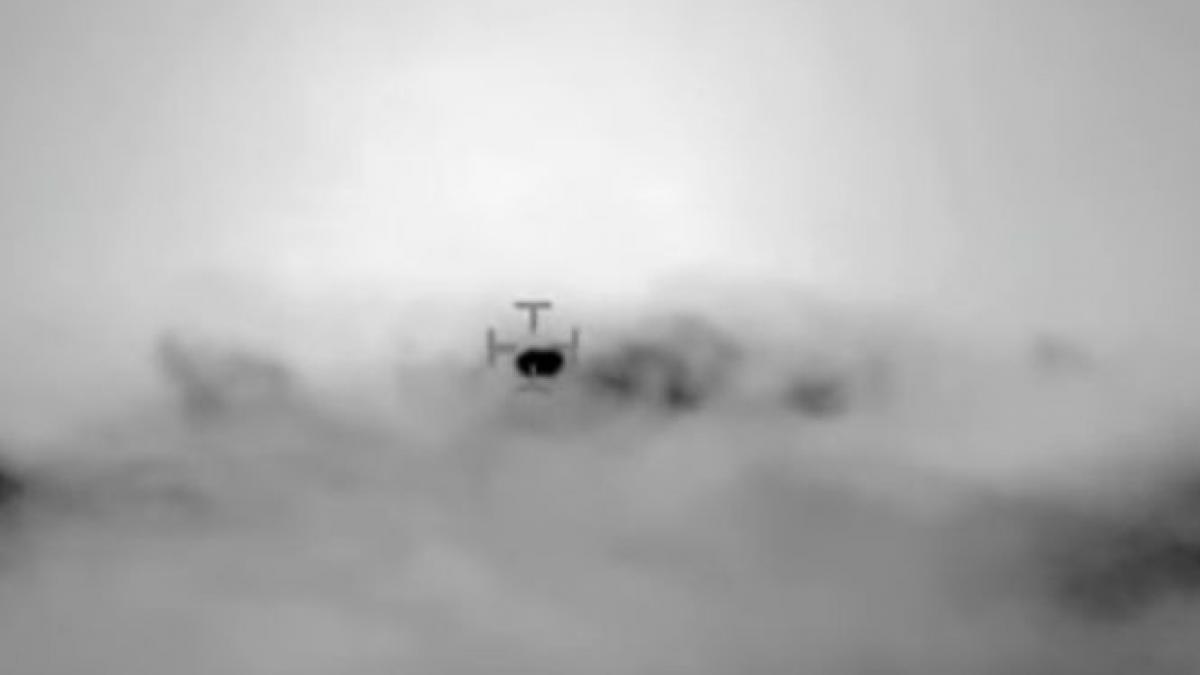 Imagini Apocaliptice Pe Plajele Din Chile Motivul Pentru Care Milioane De Pesti Aflati In Putrefactie Au Ajuns Pe Coasta Stirileprotv Ro