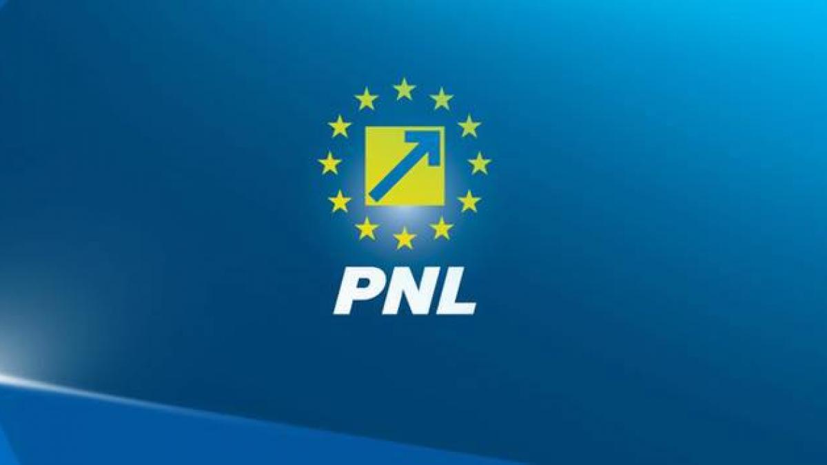 guvernul din umbra al pnl care este lista ministrilor