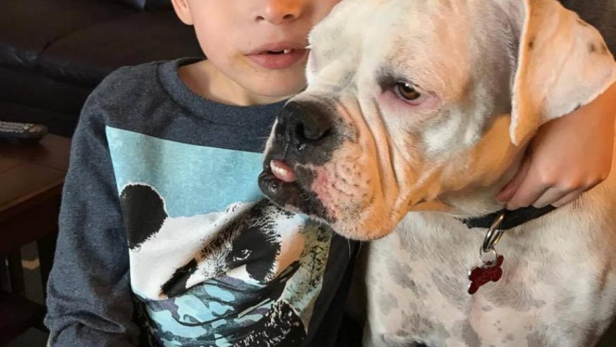 legatura emotionanta dintre un copil si un caine fiecaruia ii lipseste ceva dar se au unul pe altul