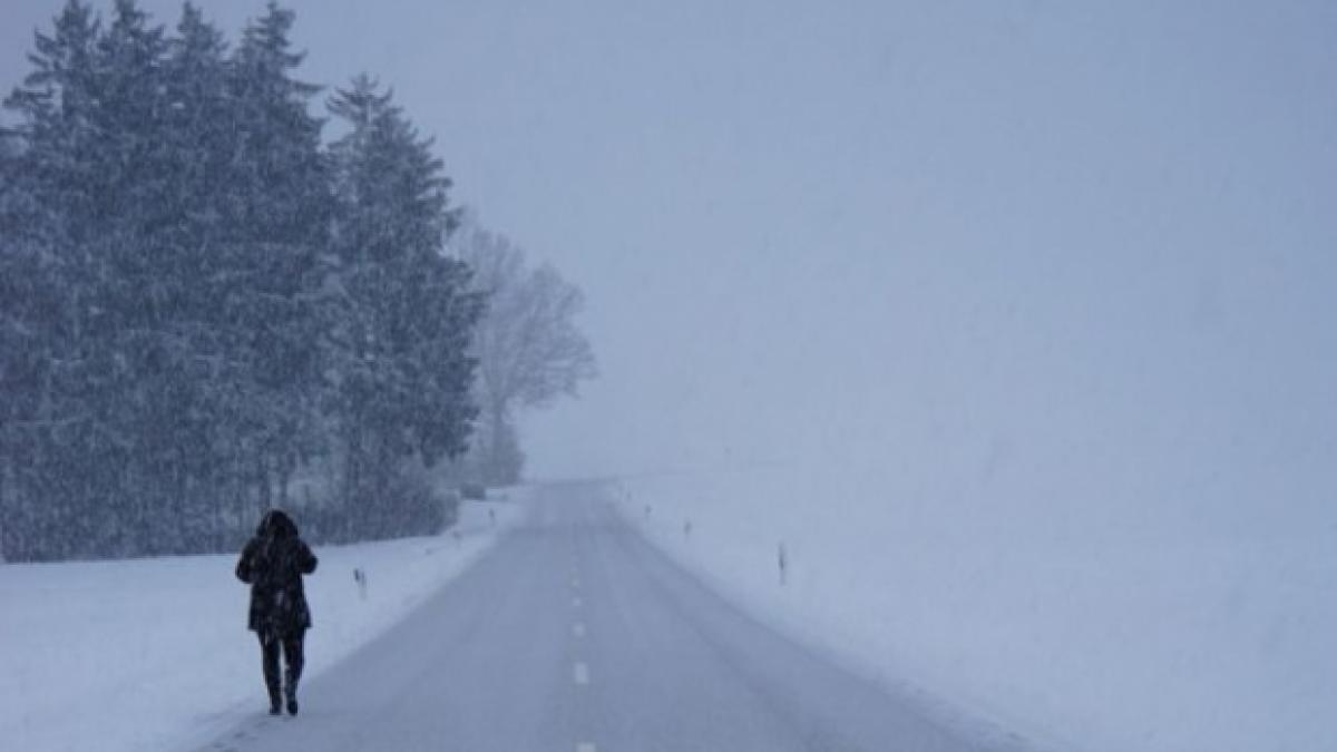 noi atentionari cod galben de viscol