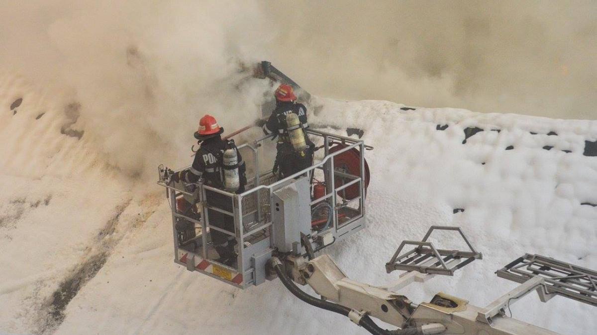 apelul facut de premierul sorin grindeanu