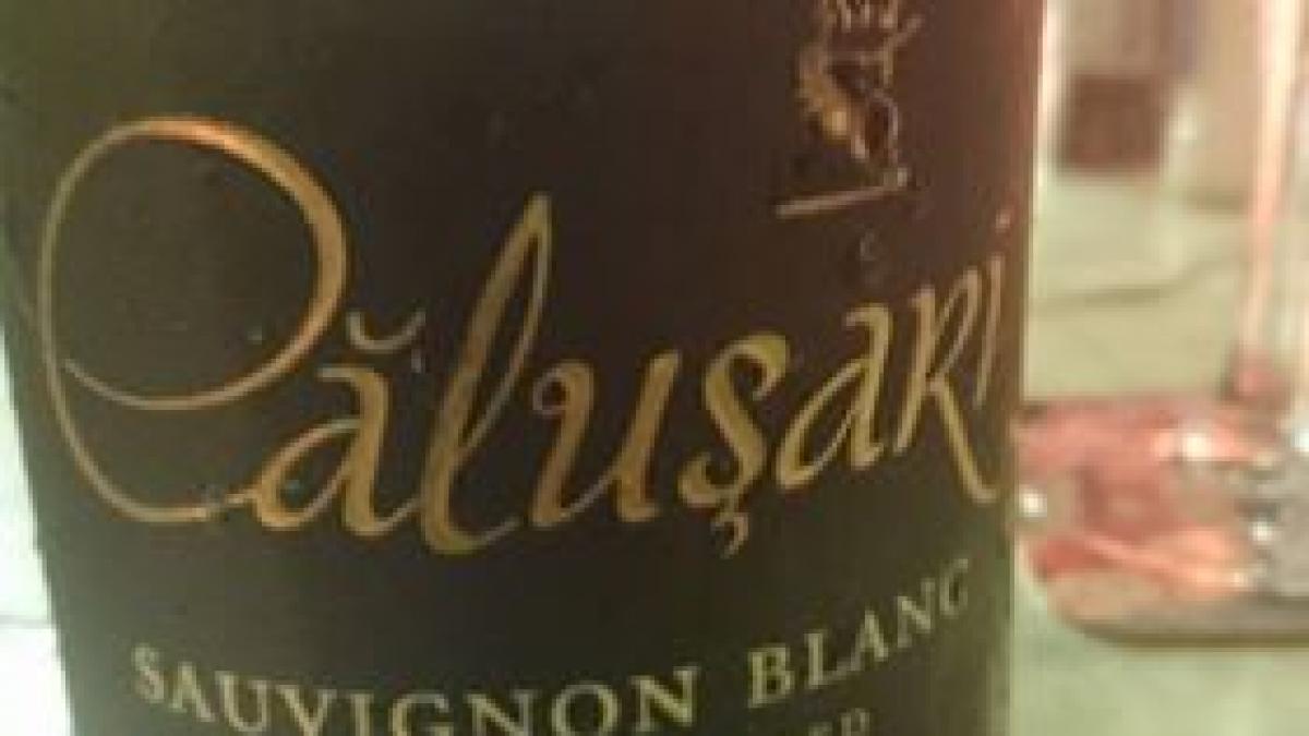 ce a gasit monica tatoiu in meniul unui restaurant aflat la mii de kilometri distanta de romania