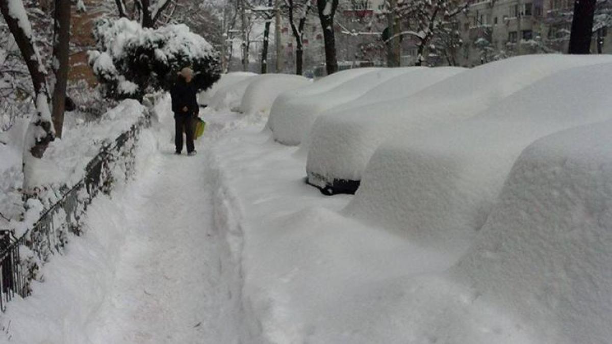 bucurestenii pot suna la un numar gratuit daca au probleme din cauza iernii