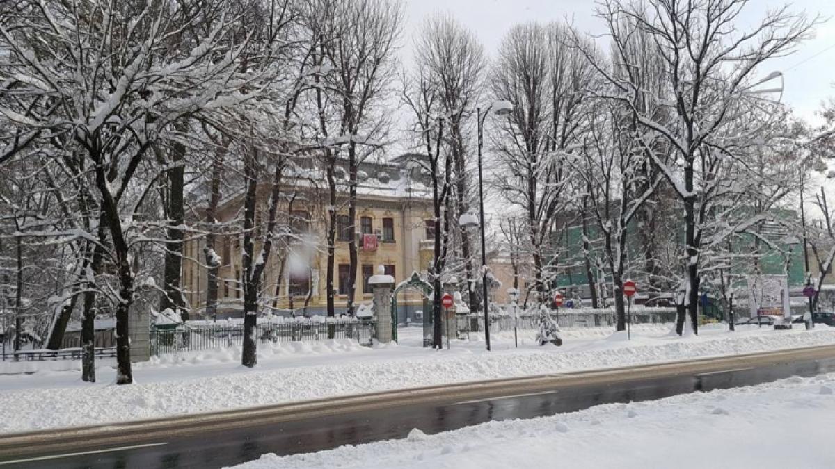 culmea deszapezirii sediul central al psd blocat in nameti