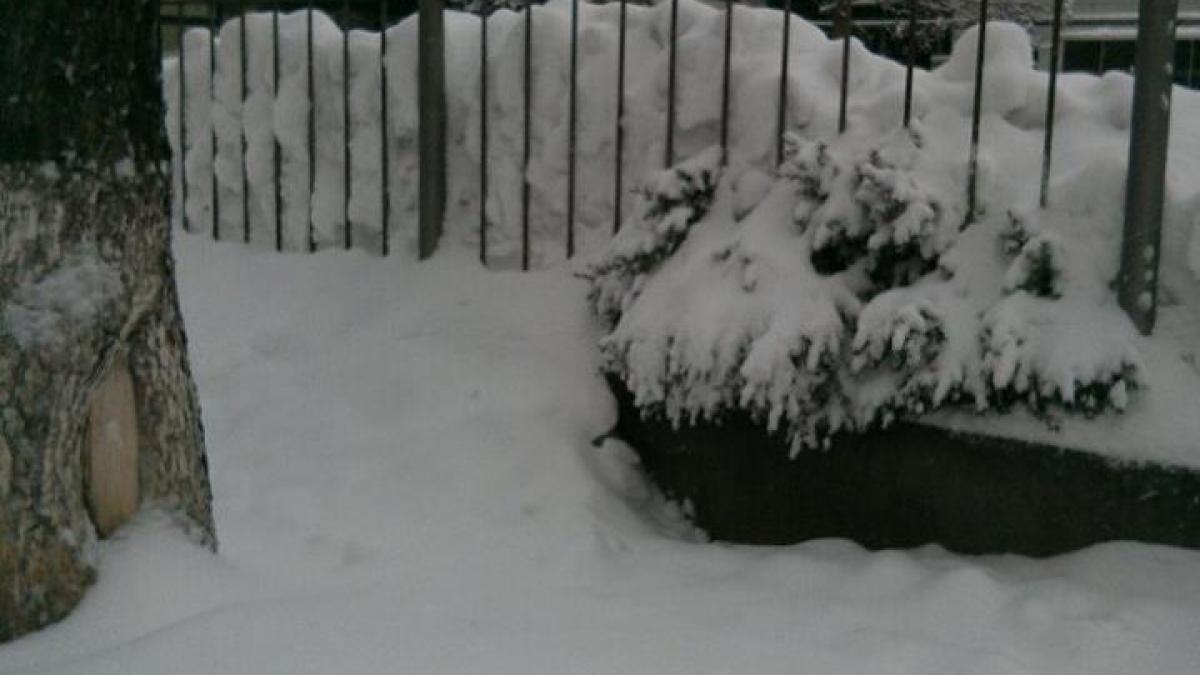 ger si ninsoare in capitala universitatea din bucuresti a suspendat cursurile