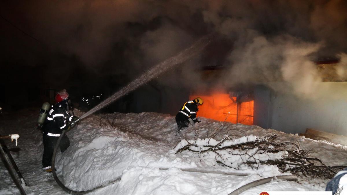 un senator reactie dura dupa incendiul de la circul globus in care au murit 11 animale se impune de