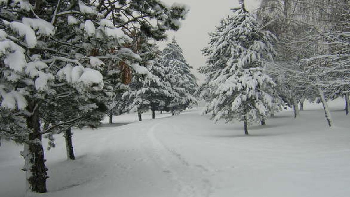 vesti proaste de la meteorologi cod galben de vant si ninsoare viscolita