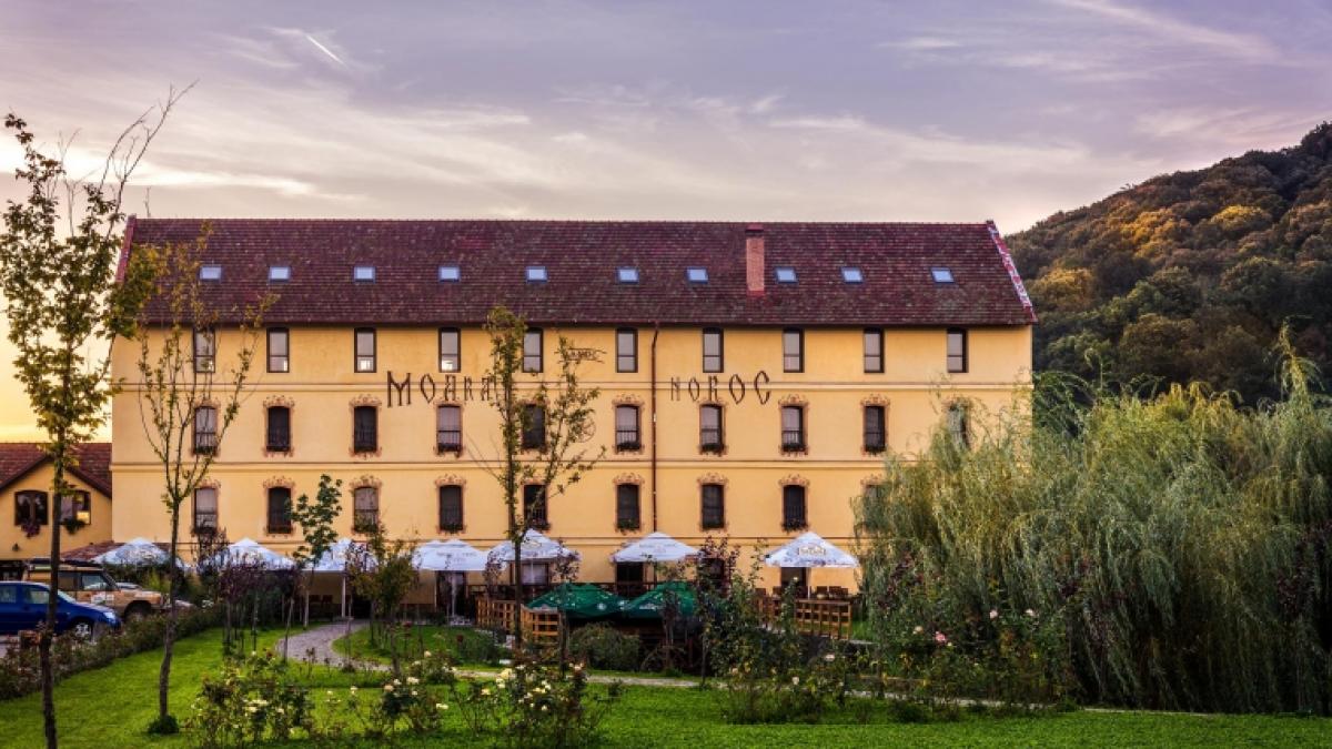 cum a ajuns moara cu noroc un business de milioane de euro