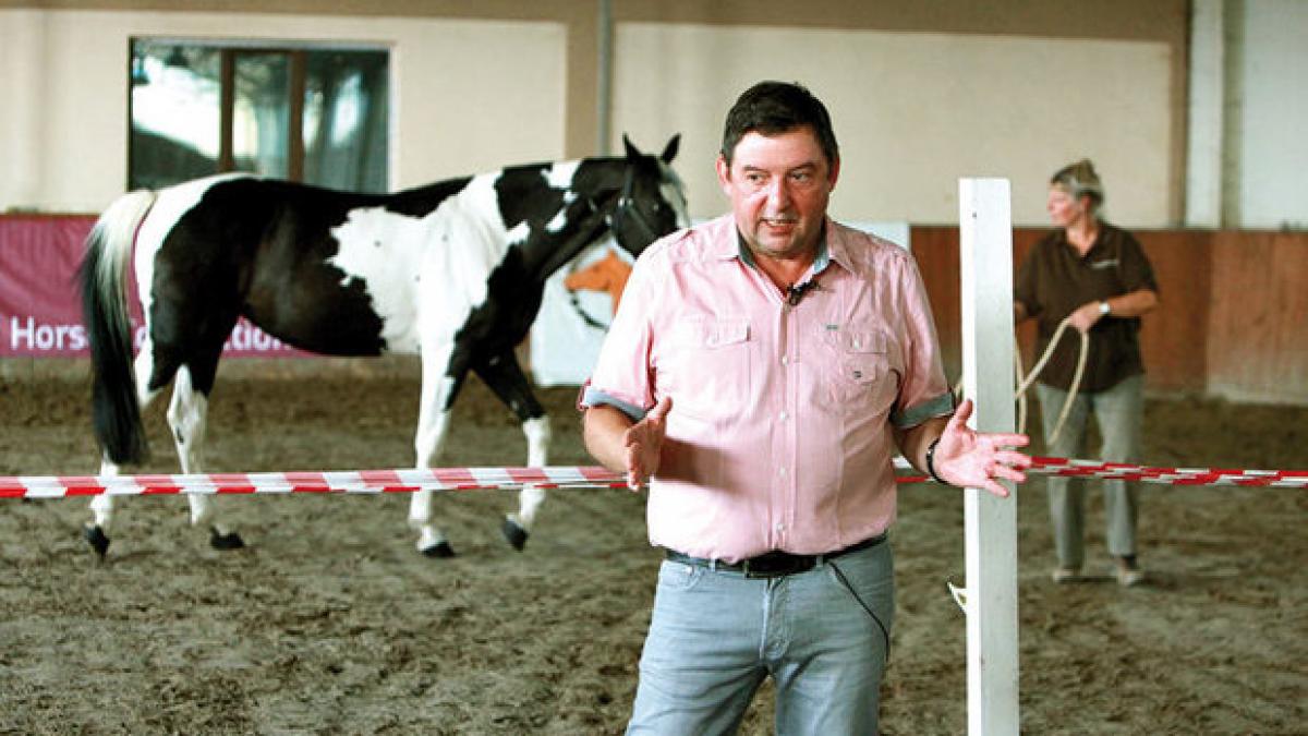 a ales romania la intamplare si i a placut atat de mult incat si a dezvoltat o afacere aici acum