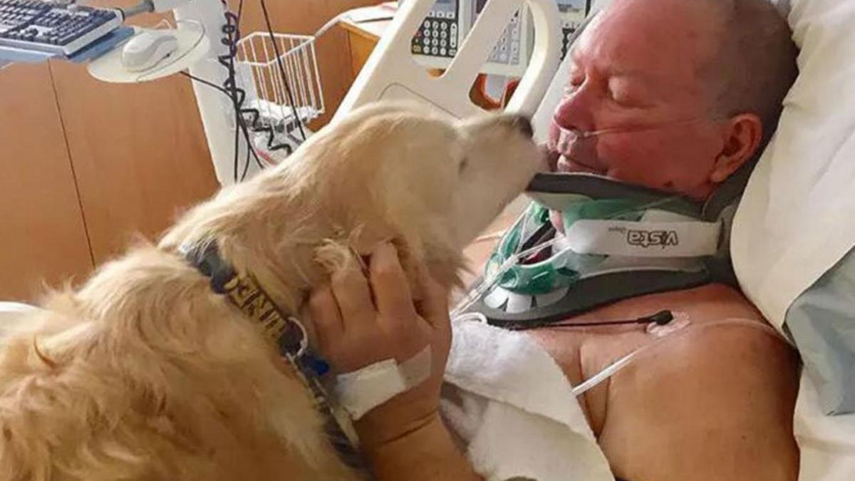 dragoste de caine si a salvat stapanul de la moarte sigura dupa ce a alunecat pe gheata si si a