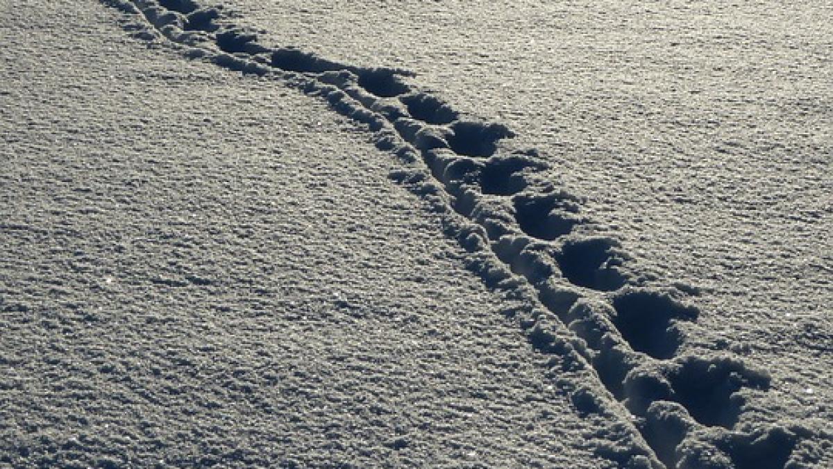 un autocar cu 42 de copii ramas inzapezit intre pasul prislop si semenic