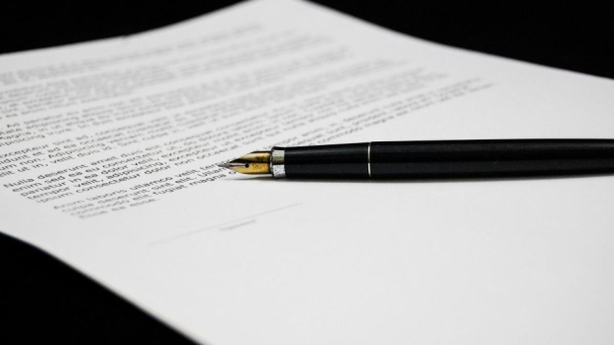 narcisa lecusanu eliberata din functia de secretar de stat la ministerul tineretului si sportului