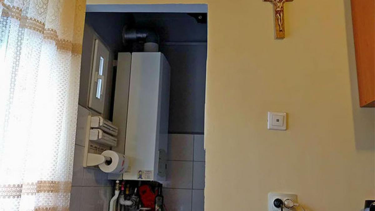 unde s a ascuns pisica in aceasta poza tu o vezi