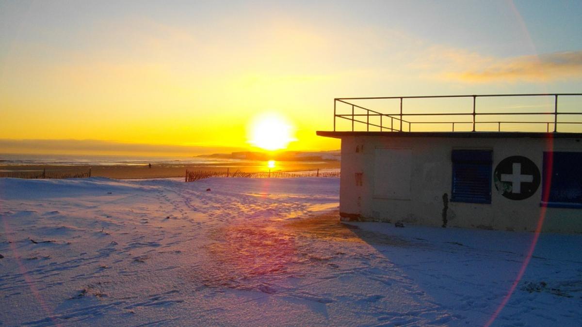 ninsori pe plajele din spania