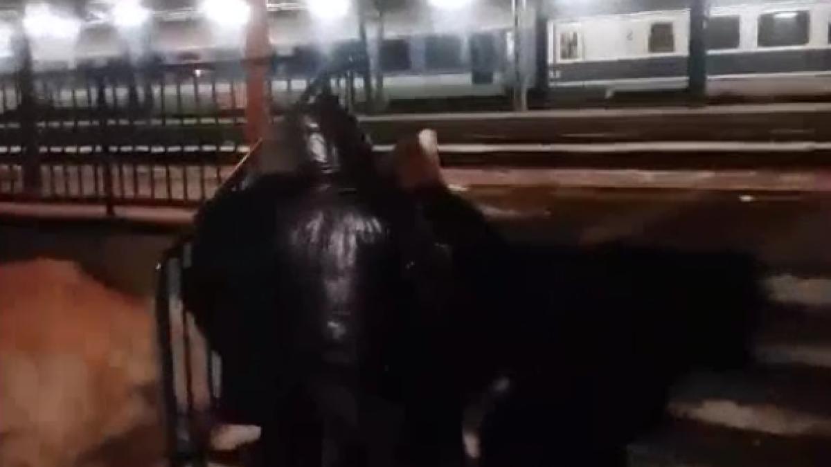 o familie s a mutat in gara din campina parintii intretin relatii sexuale in sala de asteptare iar