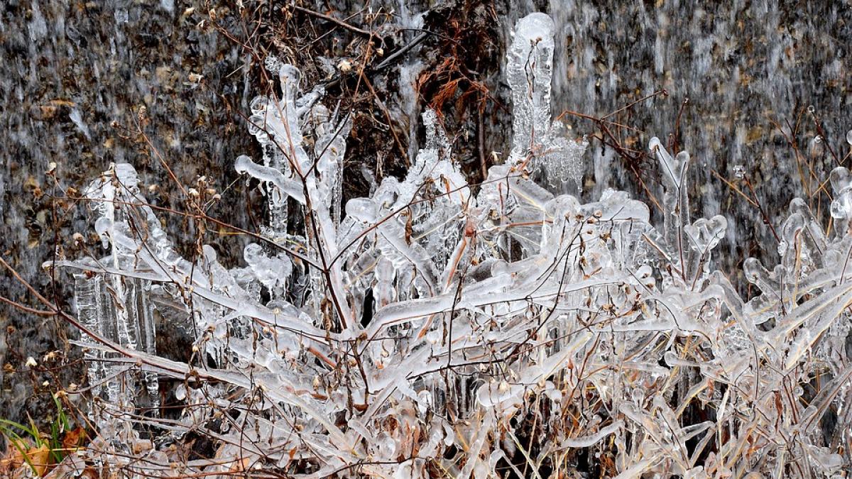 anm cod galben de ger in 20 de judete si bucuresti pana sambata dimineata