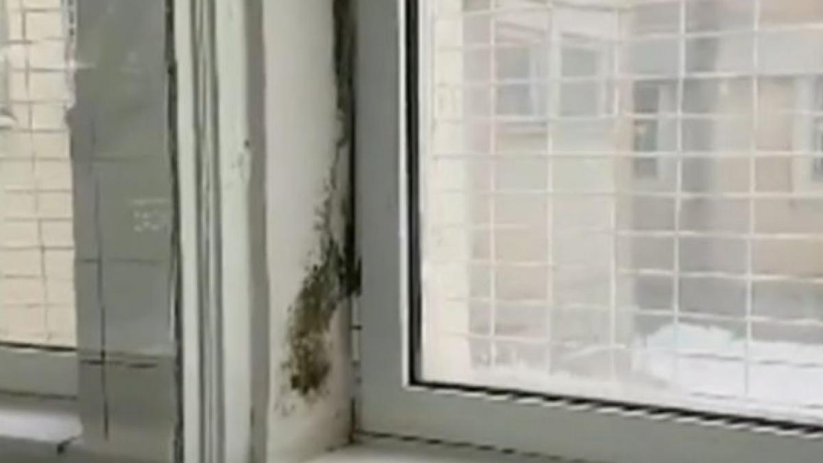 focar de infectie in spitalul de copii anton cincu din tecuci