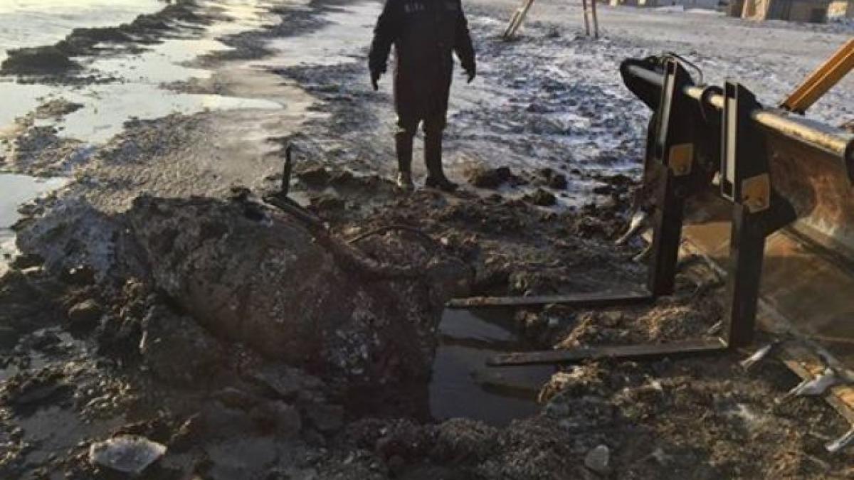 descoperire uluitoare la mamaia un motor de avion a fost recuperat din mare