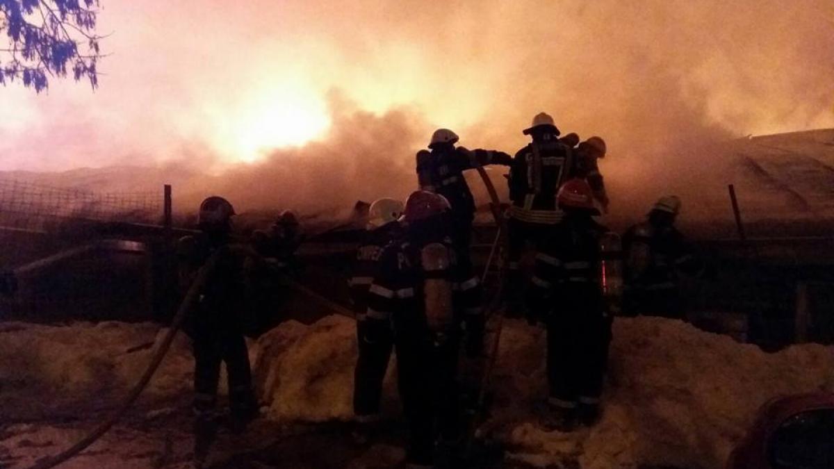 urmarire penala pentru distrugere in cazul incendiului de la bamboo