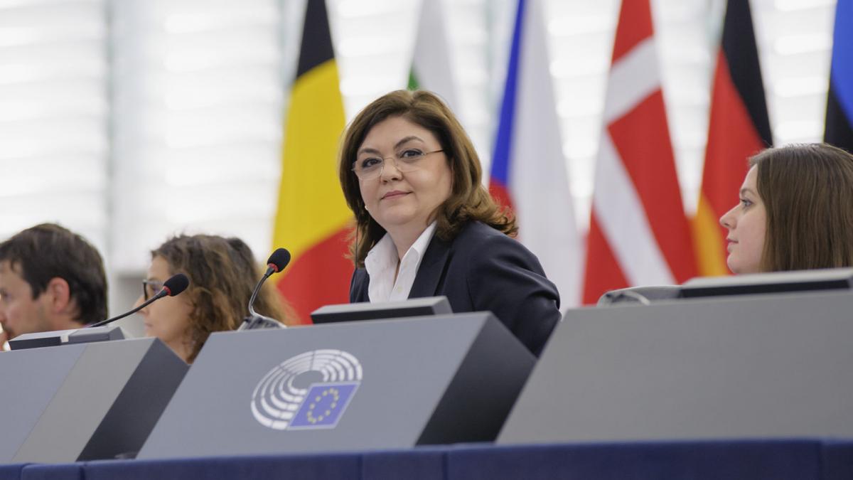 adina valean primul roman pre edinte de comisie parlamentara in parlamentul european