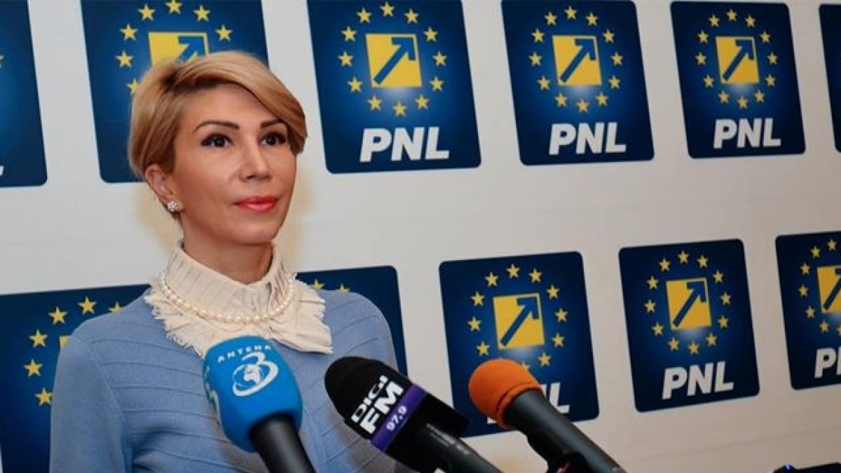 reactia pnl la solicitarea lui klaus iohannis pentru referendum poporul nu a votat salvarea hotilor