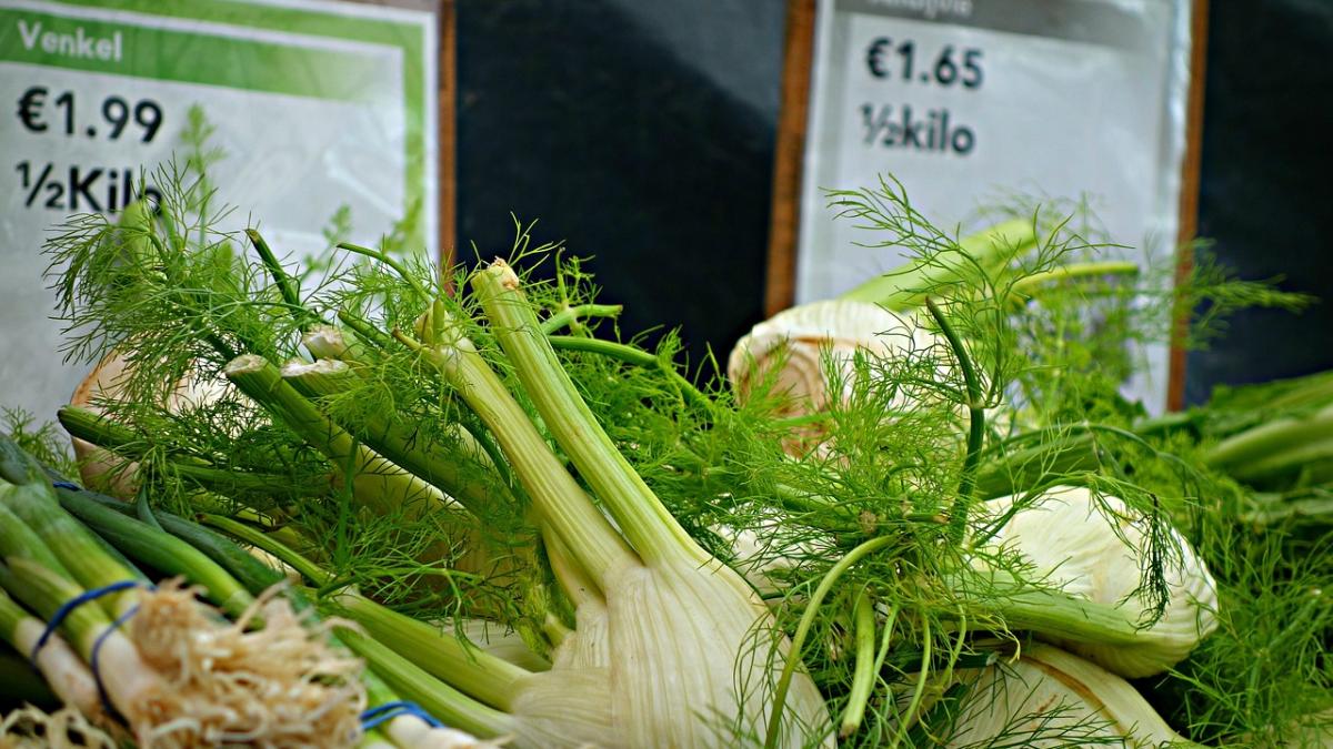 alimentul care te face mai destept grecii si romanii il venerau