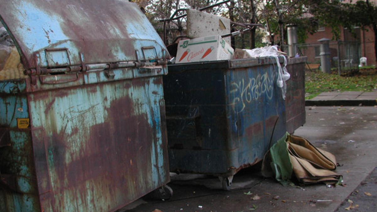 lasa sanvisuri proaspete langa cosul de gunoi in fiecare zi ce s a intamplat dupa 40 de ani