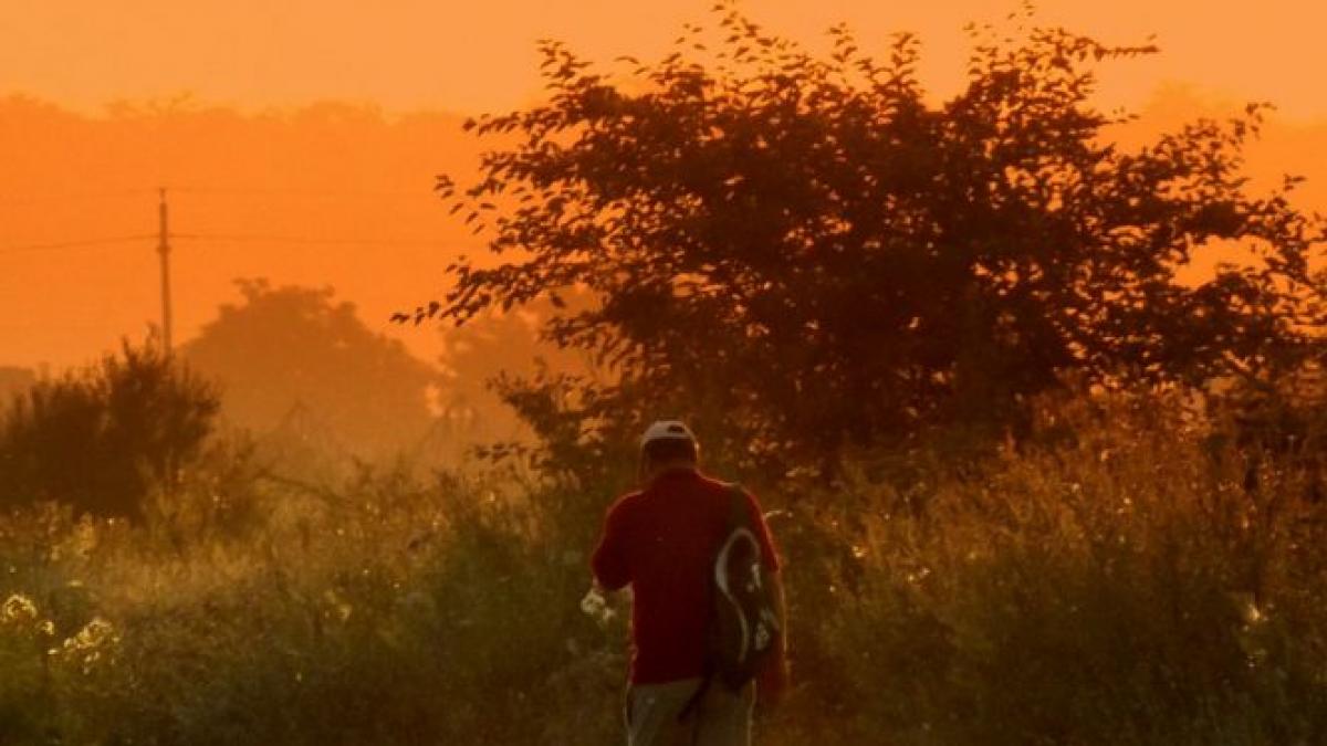 un barbat condamnat la inchisoare dar eliberat de obama a fost ucis