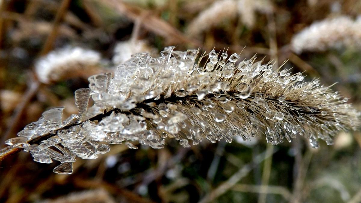 cea mai scazuta temperatura din tara