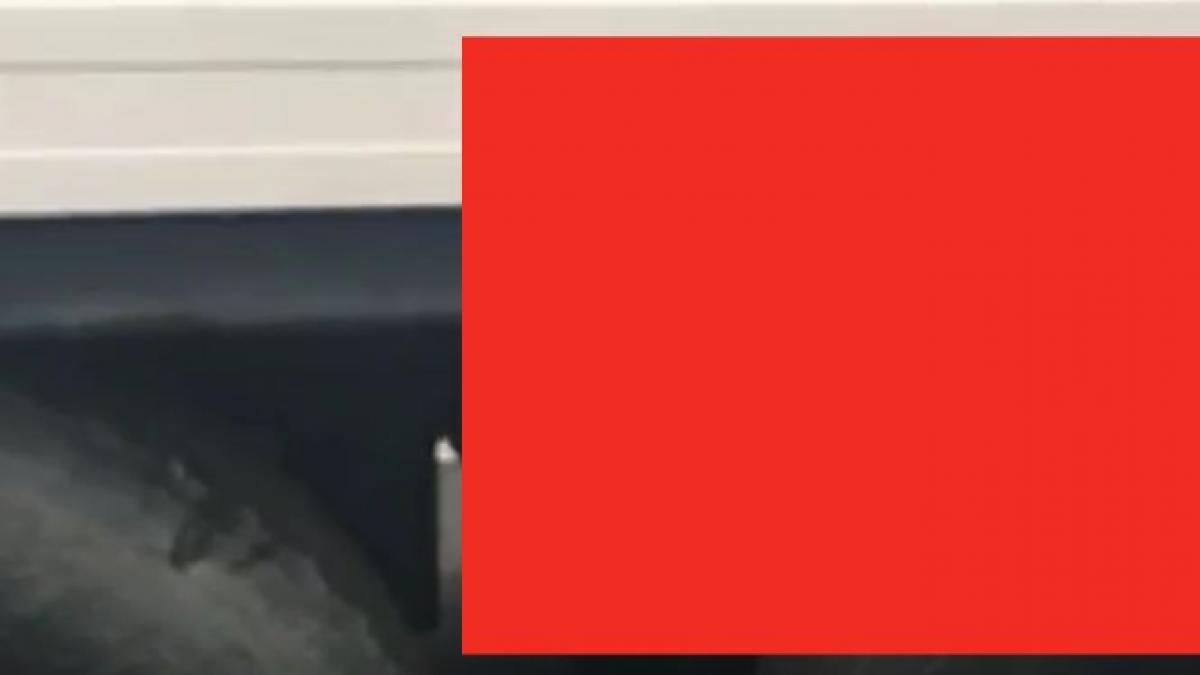 metoda inedita de trecere a frontierei cum a incercat sa iasa din tara un turc video