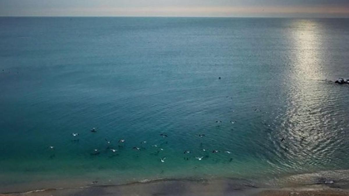 spectacol inedit oferit de marea neagra culoarea apei a devenit turcoaz