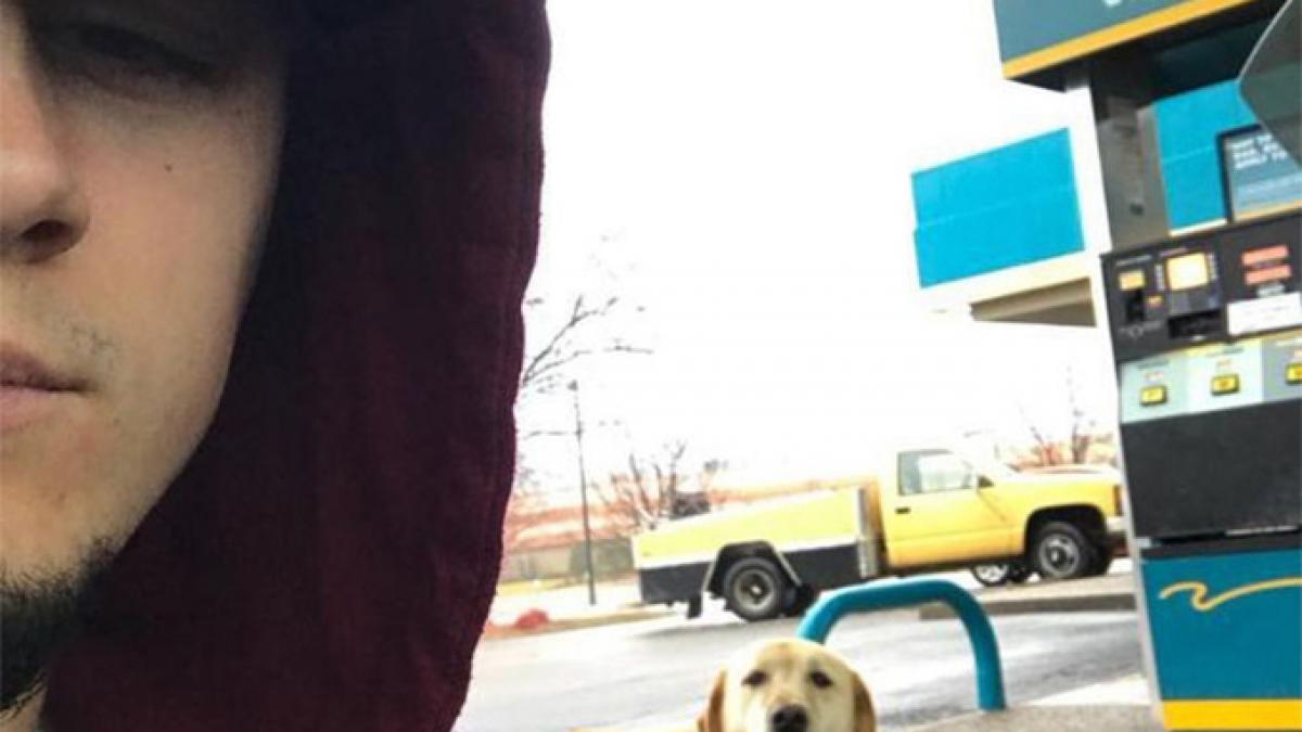 acest tanar a gasit un caine pe strada insa cand s a uitat ce scria pe placuta prinsa de zgarda a