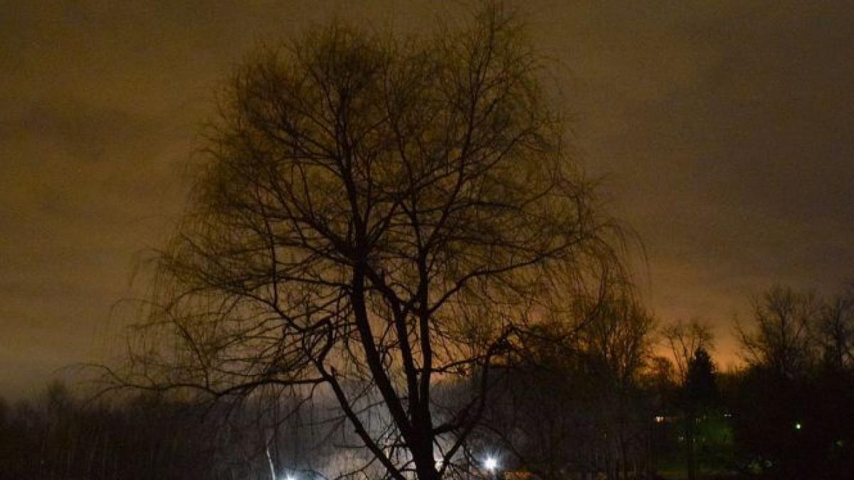 alerta meteo cod galben de ceata pentru judetele ilfov giurgiu si calarasi