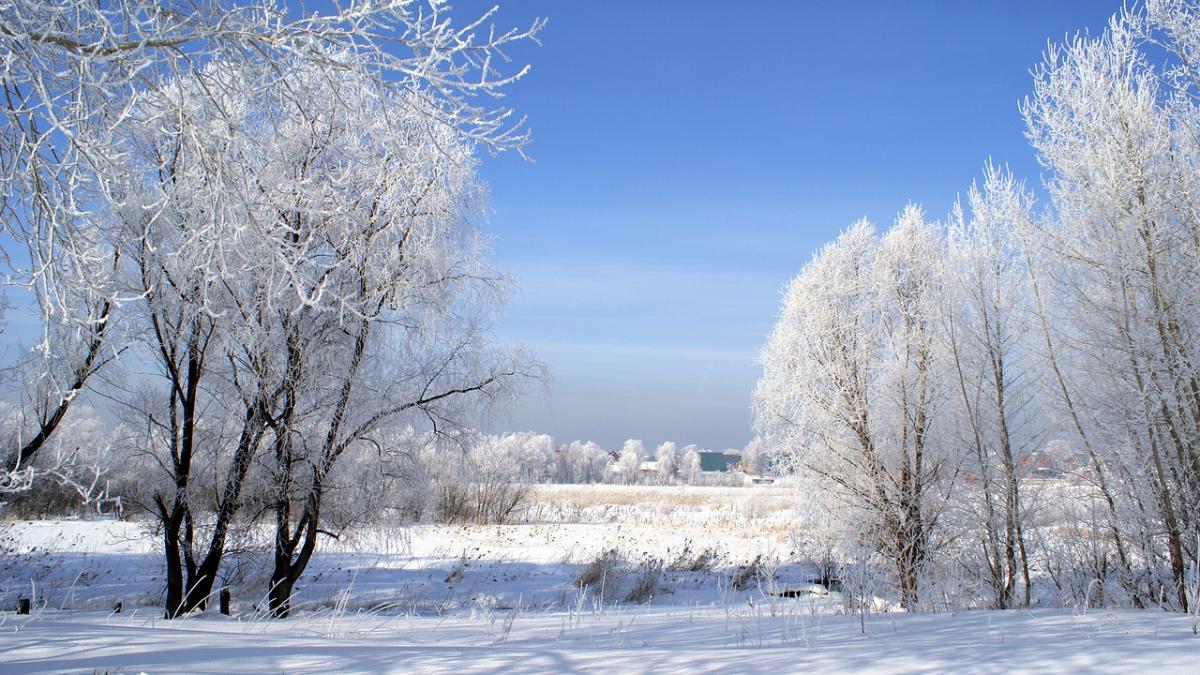 vremea va fi in general inchisa si rece prognoza meteo pentru urmatoarele zile
