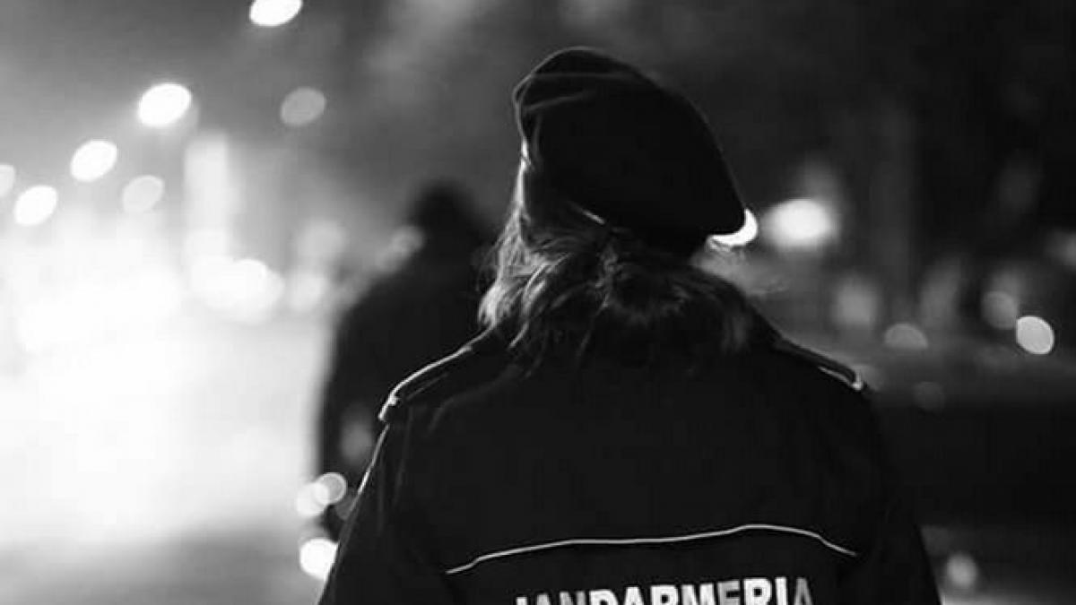 poza zilei ce a aparut pe pagina de facebook a jandarmeriei romane