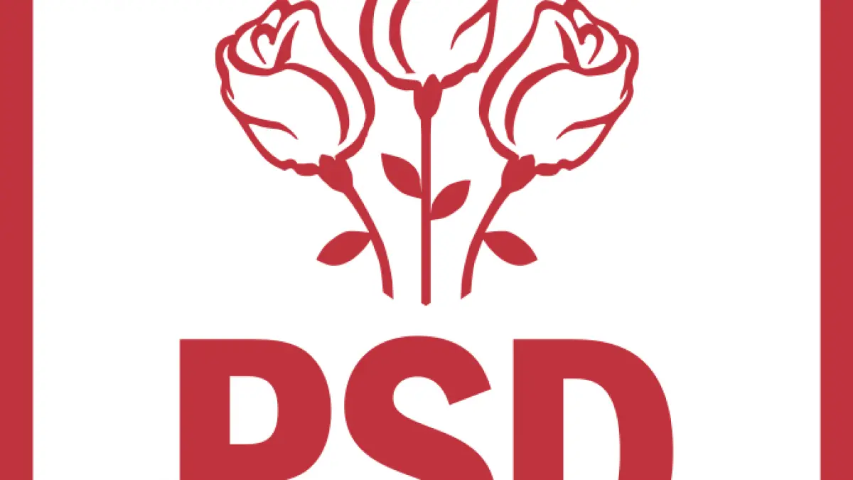 o noua demisie in randurile psd presedintele executiv psd deva a demisionat