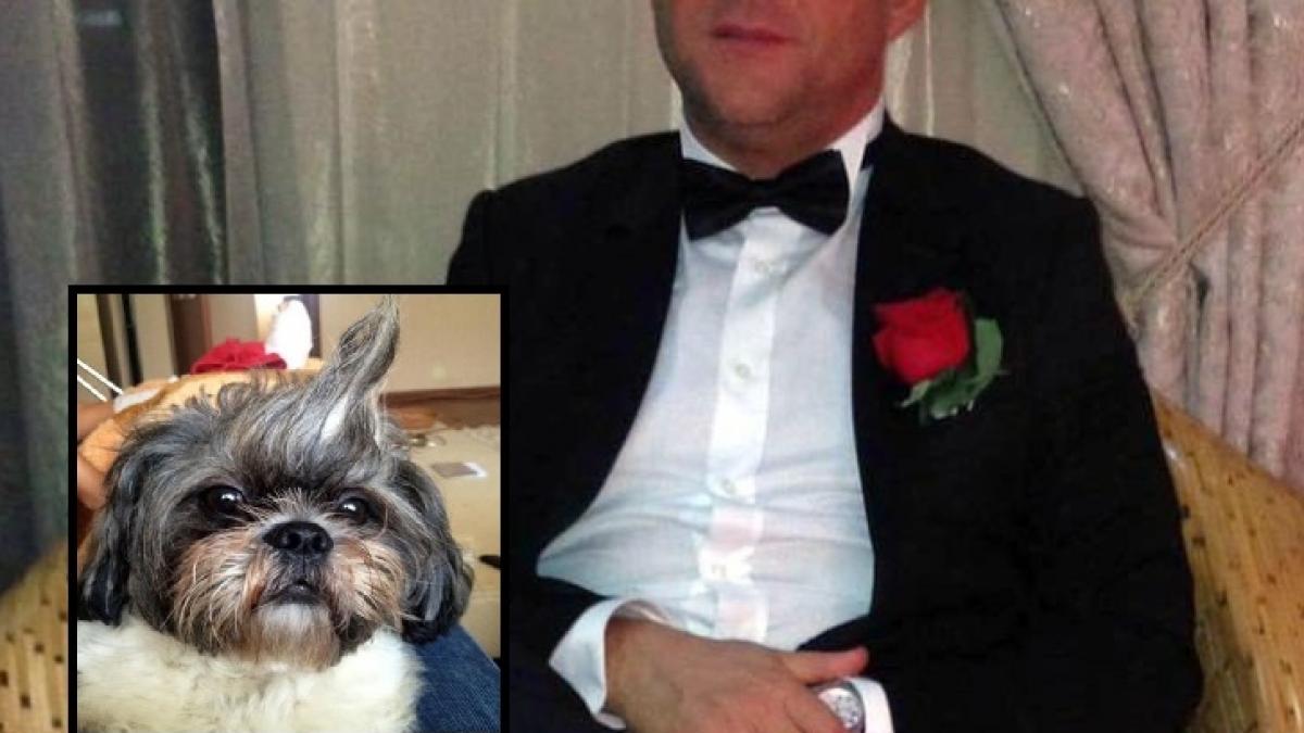 un antrenor de la dinamo este acuzat ca a aruncat un caine pe geam de la etajul 14