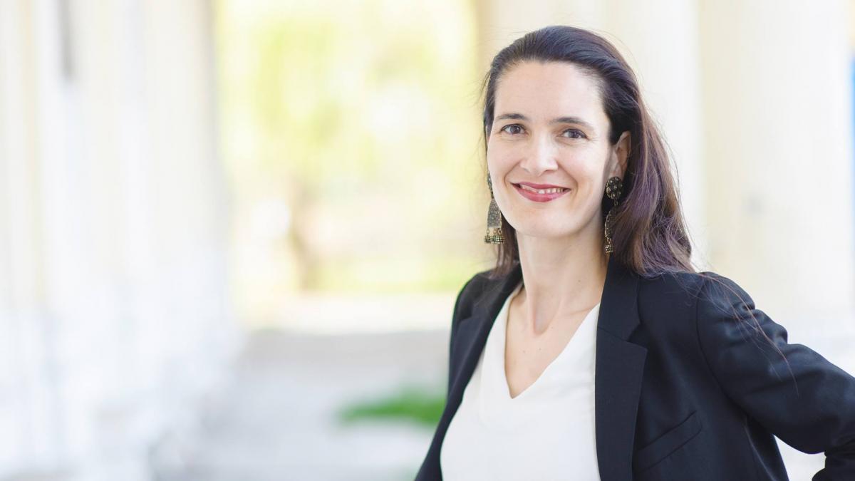 clotilde armand liviu dragnea si calin popescu tariceanu trebuie sa demisioneze