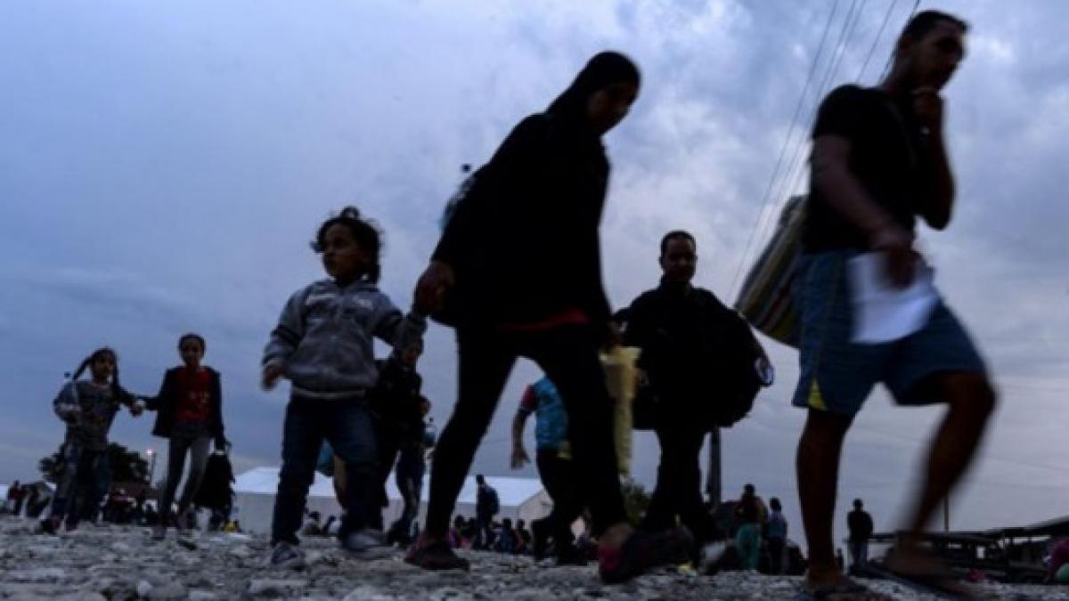 islamistii recurg la traficanti de persoane pentru a recruta copii migranti neinsotiti sunt membru