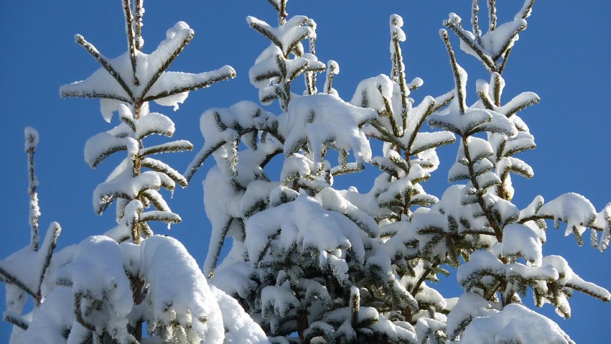 se intorc ninsorile avertismentul facut de meteorologi