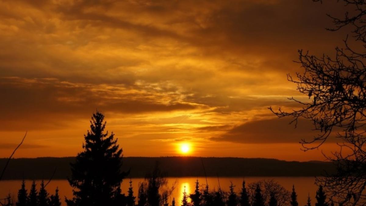 avertisment al oamenilor de stiinta o cometa neobisnuita se indreapta spre noi