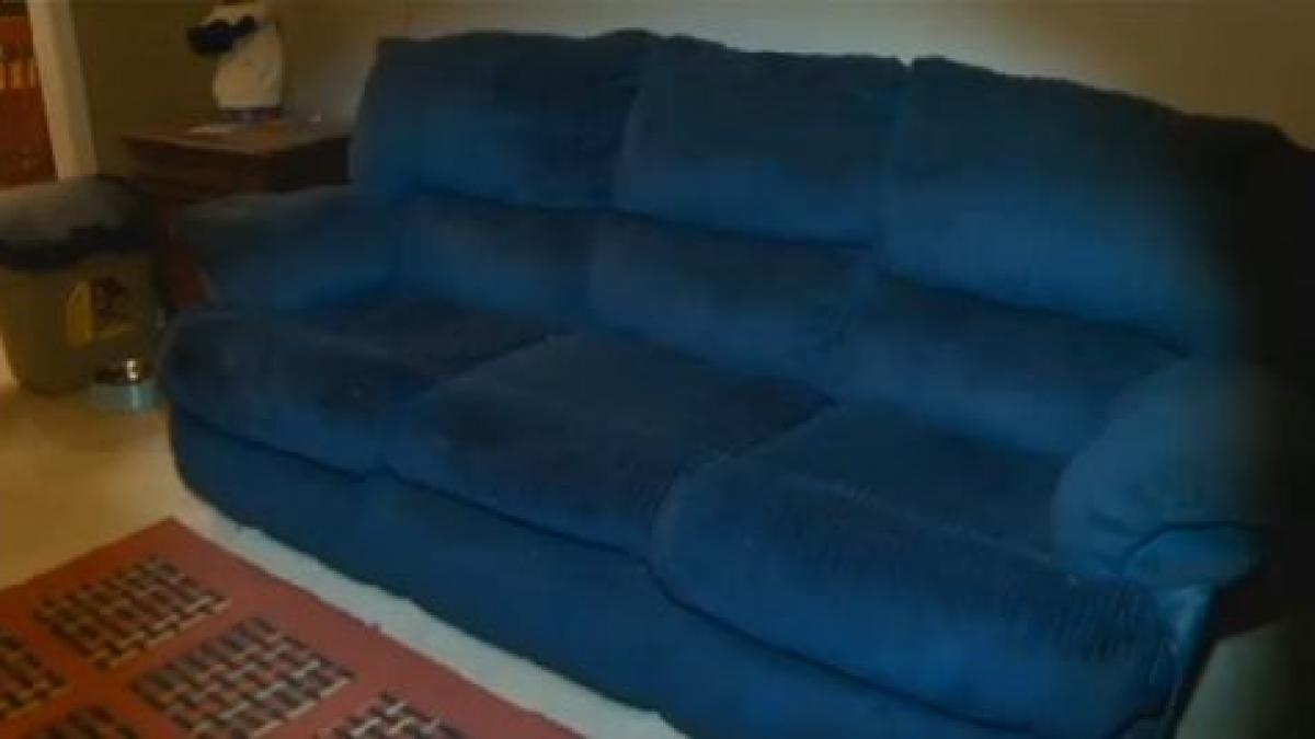 era sa murim au cumparat o canapea la mana a doua de pe internet au adus o acasa insa au aflat ca