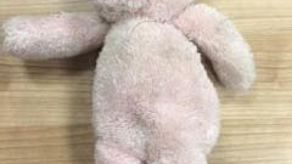 au gasit un ursulet de plus in aeroport si au postat poza lui pe facebook gestul angajatilor