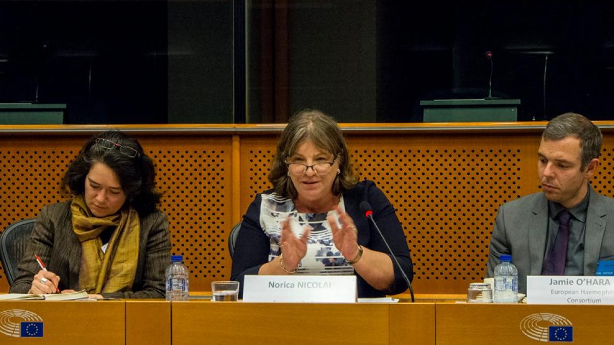 europarlamentarul norica nicolai legile nu trebuie facute in strada