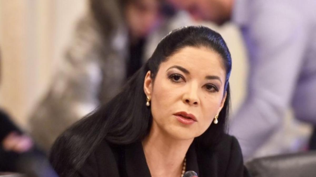 romania colaborare cu austria pentru continuarea proiectului european