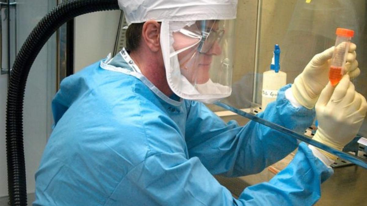 un nou focar de gripa aviara in romania masuri de siguranta in sectorul 1 al capitalei