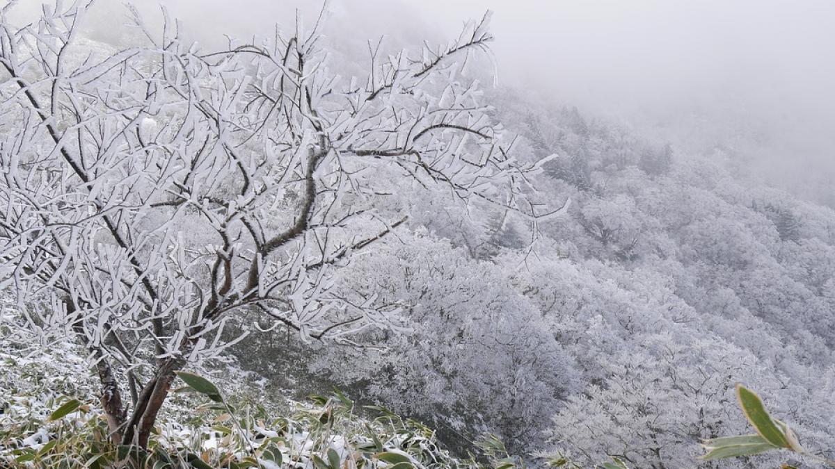 avertisment meteo a intrat in vigoare un cod galben de frig ce zone sunt vizate