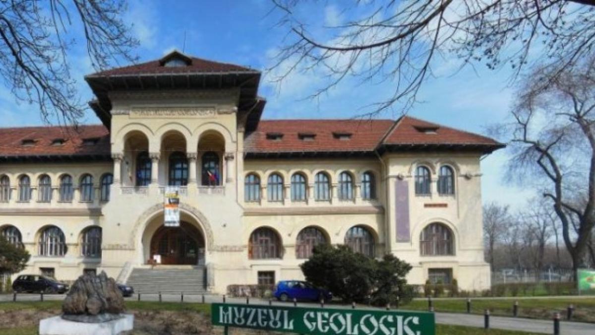 institutul geologic in circuitul de vizitare al muzeului de geologie nu exista esantioane care sa