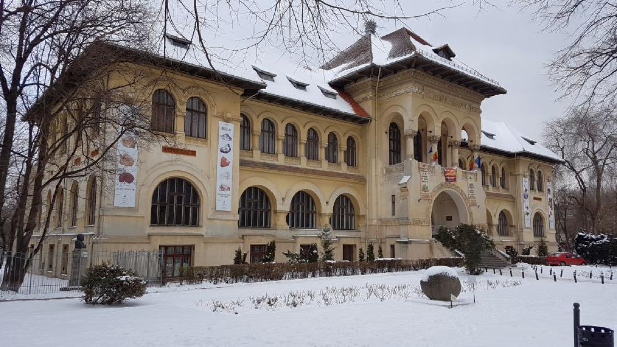 tolo ro radiatii de 200 000 de ori mai puternice decat limitele admise in apropierea