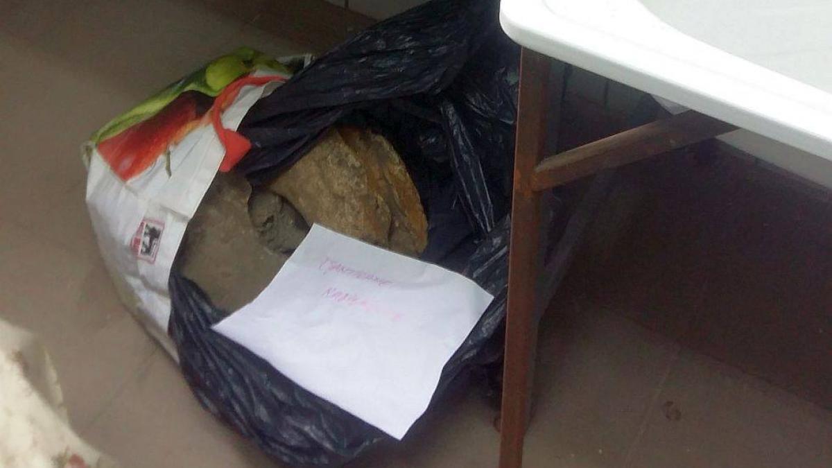 tolo ro angajatii muzeului de geologie demonstreaza conducerii ca au descoperit esantioane